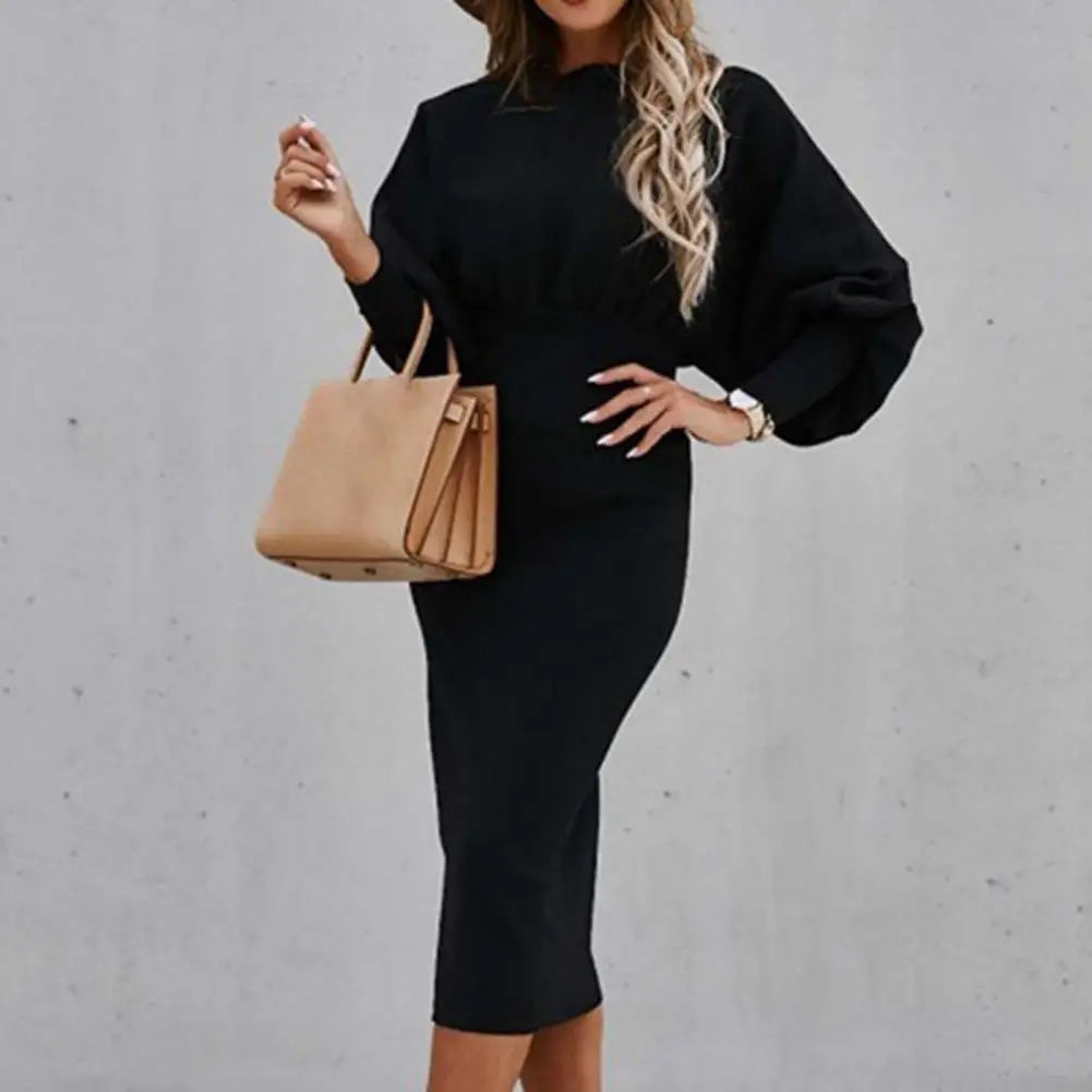 Elegant Bodycon Winter Dress