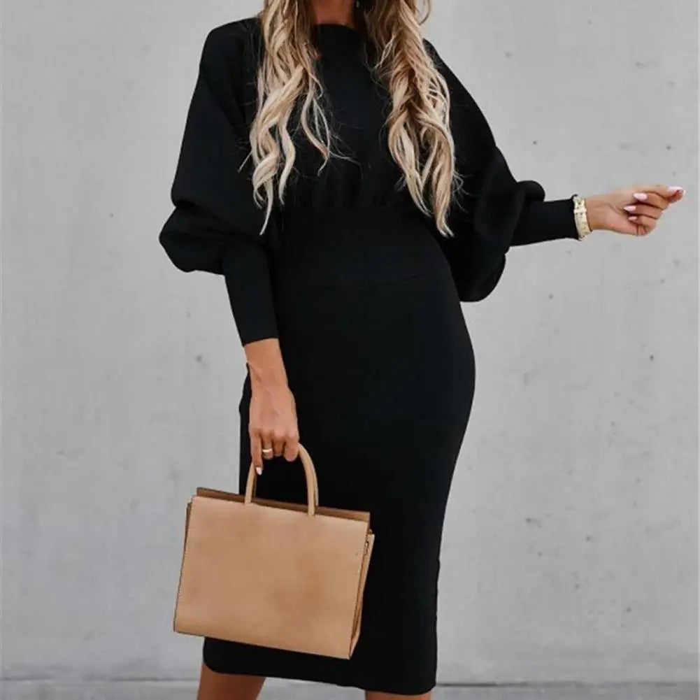 Elegant Bodycon Winter Dress