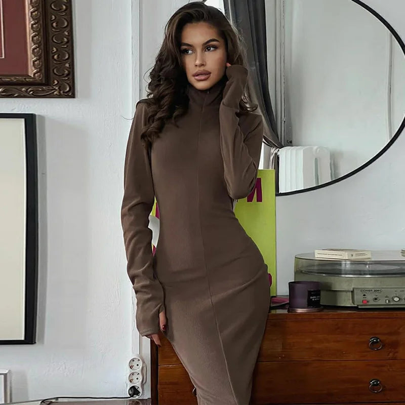 Elegant Turtleneck Bodycon Dress