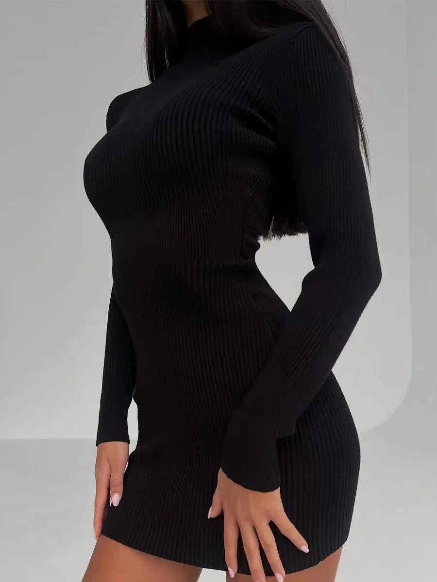 Knitted Turtleneck Dress