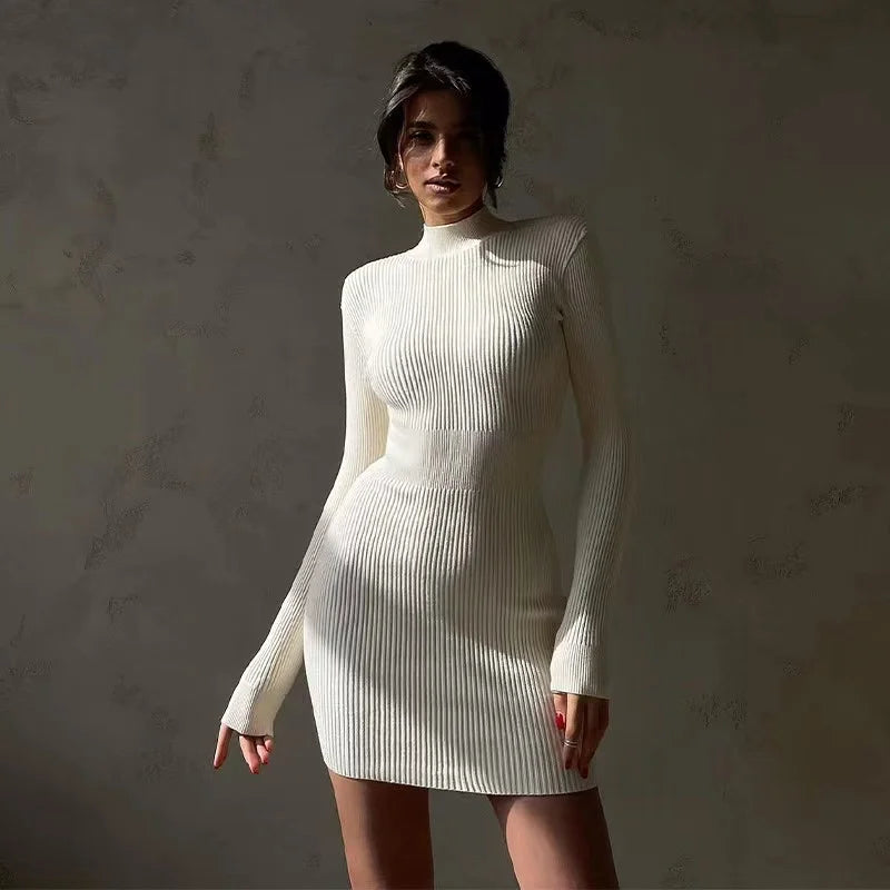 Knitted Turtleneck Dress