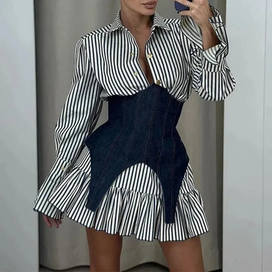 Long Sleeves Mini Dress