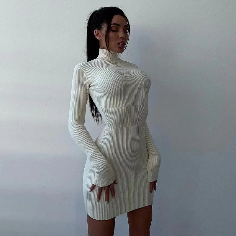 Knitted Turtleneck Dress