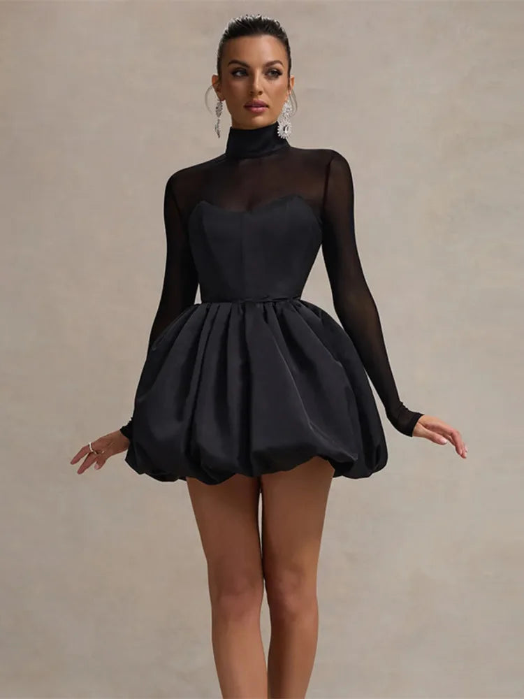 Sheer Long Sleeve Dress